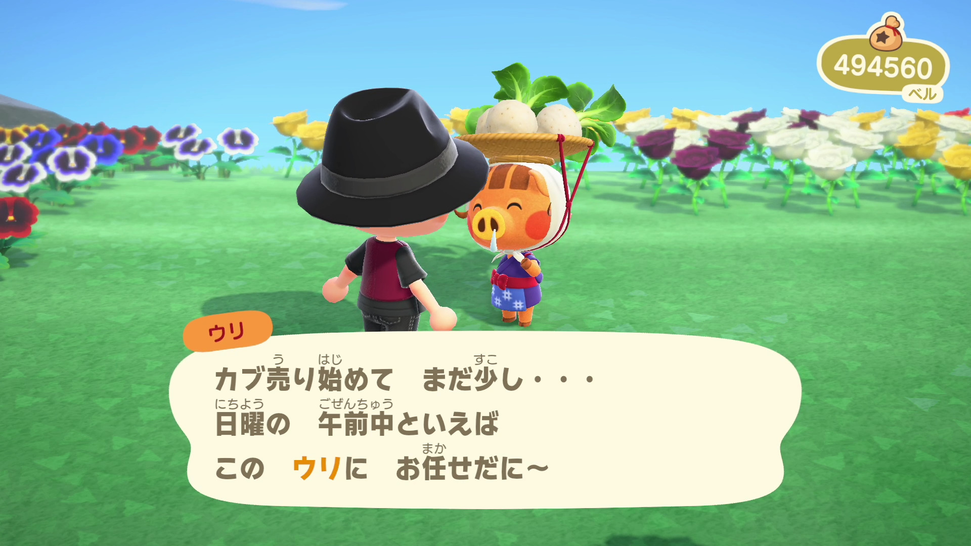 パターン カブ 変動